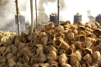 Beberapa Bahan Baku Untuk Membuat Briket