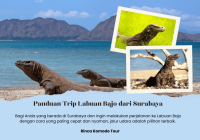Panduan Trip Labuan Bajo dari Surabaya, Menggunakan Jalur Udara