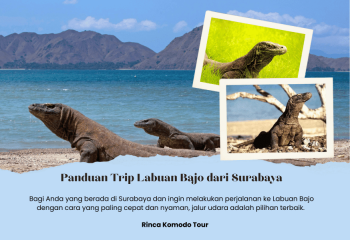 Panduan Trip Labuan Bajo dari Surabaya, Menggunakan Jalur Udara