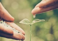 .csr dan keunggulan kompetitif perusahaan