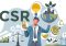 apa saja contoh program csr