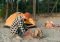 tempat camping di lembang