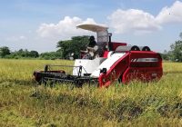 mesin combine harvester