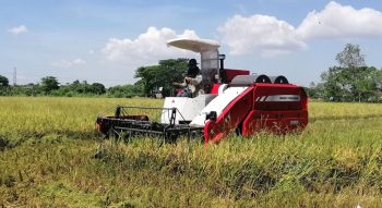 mesin combine harvester
