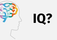 tes iq resmi