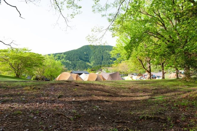 tempat camping di lembang