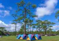 https://hilltopcamplembang.com/tempat-camping-di-lembang-bandung-murah/