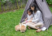 tempat camping di lembang murah